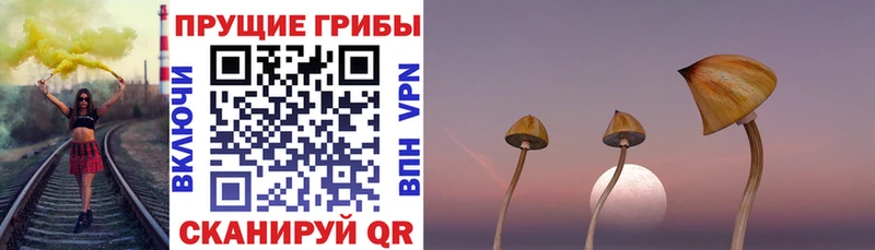 Псилоцибиновые грибы Psilocybine cubensis  где купить наркоту  Пласт 